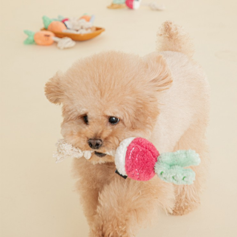 ROOT VEGETABLE TUG TOY