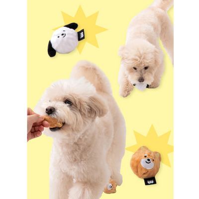 DOG BALL TOY SET