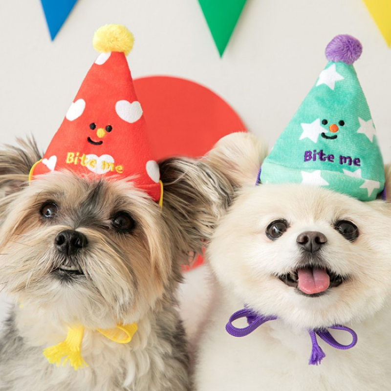 BIRTHDAY PARTY HATS (SET OF 3)